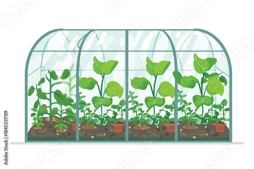 Greenhouse cultivation isolated