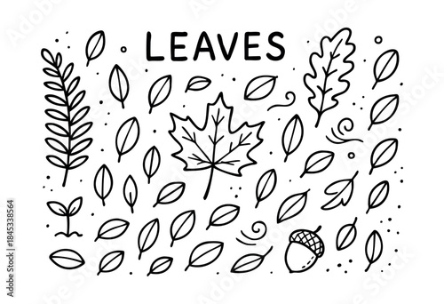 A charming set of hand-drawn outline leaves, including maple, oak, various leaf shapes, a sprout, and an acorn, with decorative dots and swirls against a white background — stock vector.