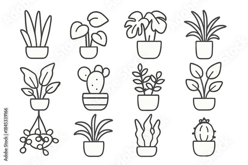 Twelve modern outline icons representing various potted houseplants and foliage