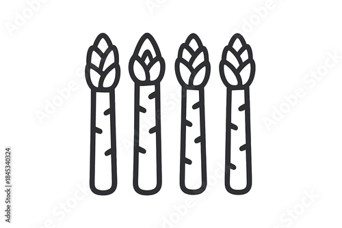 Healthy green vegetable asparagus stalks arranged in a row as a simple outline symbol