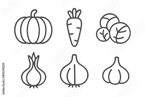 Outline icons of fresh pumpkin, carrot, cabbage, onion, and garlic vegetables