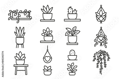 Minimalist collection of indoor plants, potted greenery, cacti, and hanging macrame planters