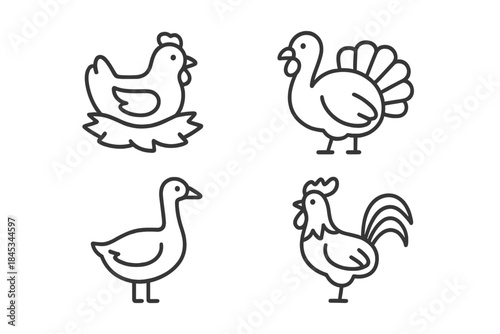 Set of four farm poultry icons including hen, turkey, goose, and rooster