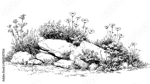 Black and white line drawing of a small rock garden with different plants and flowers for cad architecture