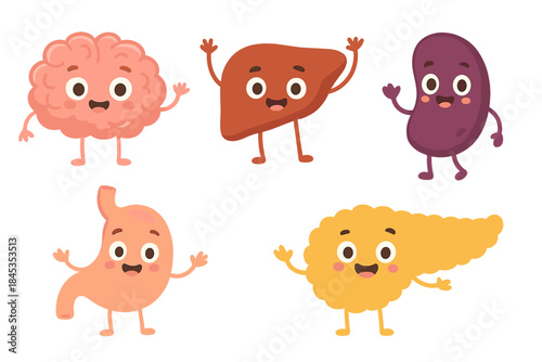 Set of cute cartoon human internal organs characters including brain liver kidney stomach