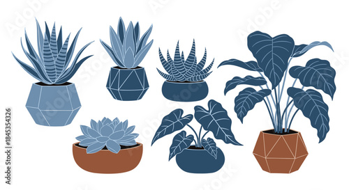 A collection of stylized houseplants in geometric and rounded pots, featuring succulents, snake plants, and philodendrons, in shades of blue and terracotta.