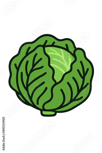 Green cabbage vegetable icon featuring thick outline and subtle shading