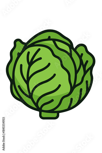 Green cabbage head icon featuring thick outline and subtle shading detail