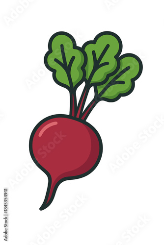 Stylized red beet root with green leafy tops isolated on white background