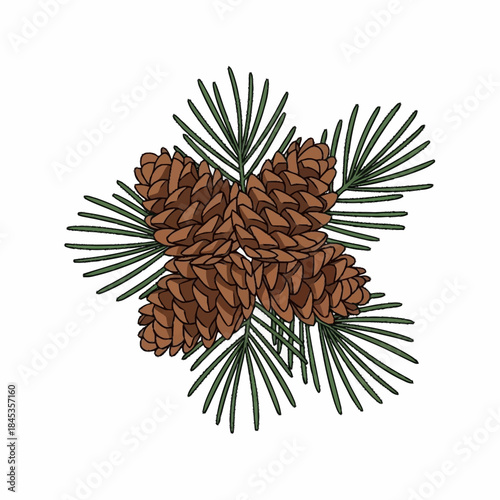 A cluster of pine cones with green needles on a white background.