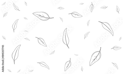 Falling Autumn Leaves Line Art Background Illustration