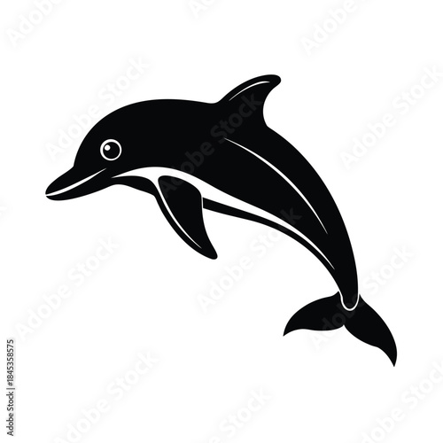 Dolphin Vector Illustration