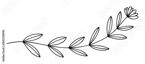 Delicate botanical line art sprig with leaves and a single flower for organic branding and floral stationery, perfect for natural product packaging and wellness marketing.