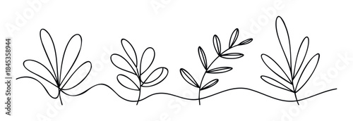 Minimalist line drawing of abstract leafy branches evolving across a wavy horizontal line, suitable for organic, natural, or botanical themed media projects.