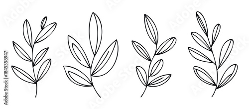 Minimalist line art branches with leaves for organic nature and botanical graphic applications in modern projects