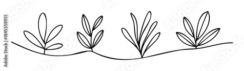 Minimalist black line drawing of stylized leaves and stems with wavy ground line, perfect for graphic elements and natural themes.