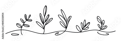 Thin black line drawing of delicate leaves and stems forming a flowing border, perfect for natural themes, branding, or feminine stationery applications.