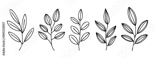 Simple line drawing of five delicate plant stems with leaves, perfect for natural themed projects, invitations, and graphic embellishments.