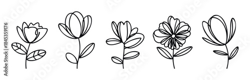 Collection of simple hand drawn outline flower graphics perfect for adding a touch of nature to any project or design.