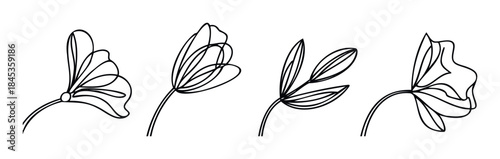 Hand drawn minimalist line art of four delicate botanical floral elements with flowing lines perfect for elegant branding or sophisticated website accents