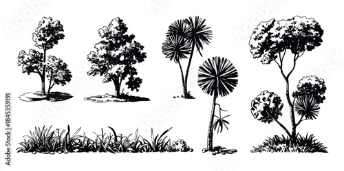 Collection of hand drawn silhouette trees and grass elements for landscape composition and garden visualization, perfect for architectural renderings and nature themed projects