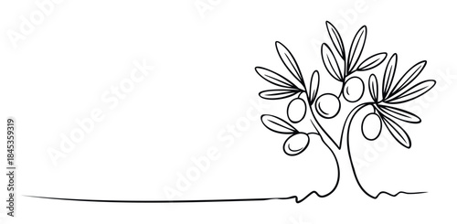 Minimalist single line drawing of an olive tree with olives and leaves for natural themes and healthy food concepts.