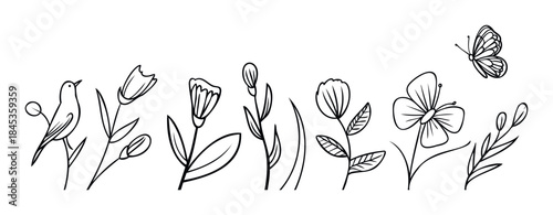 Delicate line art collection featuring a charming bird, various blooming flowers and a whimsical butterfly perfect for spring or nature themed projects and celebrations