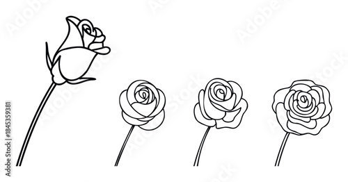 Collection of black line art rose outlines in varying stages of bloom, perfect for romantic invitations, elegant decor, and sophisticated graphic projects.