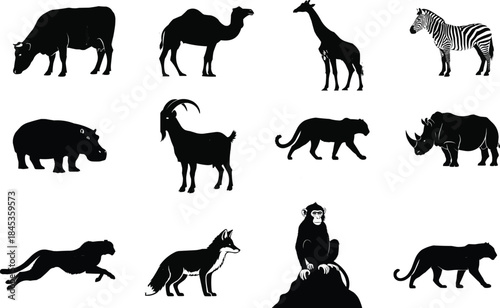 Silhouettes of various african and exotic animals