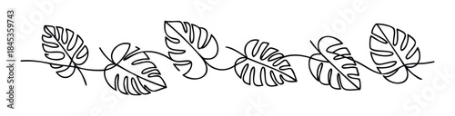 Monstera leaf vine border with a minimalist line drawing style for tropical botanical decoration and organic nature design projects