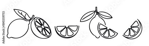 Collection of hand drawn line art style lemons and lemon slices with leaves for healthy food and beverage promotions