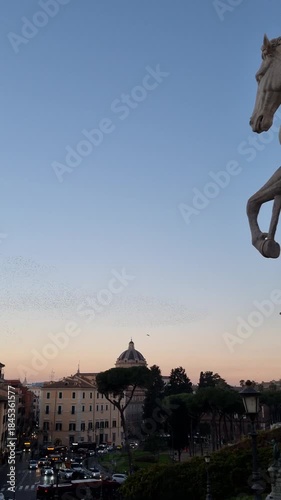 Landscape of Rome with flock of birds in winter time