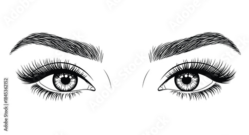 Close up illustration shows a pair of striking eyes with thick arched brows and long lush lashes in a bold black and white style.