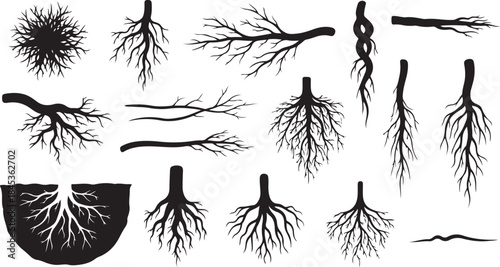 Diverse black silhouette plant root system graphics