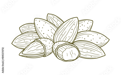 Line art featuring almonds. The components are clustered.