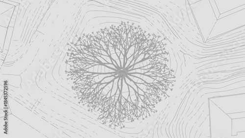 Architectural Plan Bare Tree Top View Grey Line Drawing
