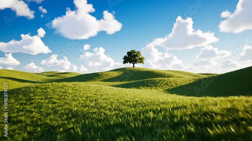 Green Field Serenity - A Lone Tree Under a Blue Sky.