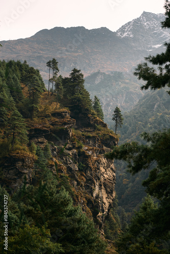 Scenic view of a rocky cliff with trees in a mountain range landscape during daylight in the fall season