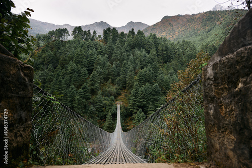Suspended bridge stretches over trees with mountains in background during cloudy weather