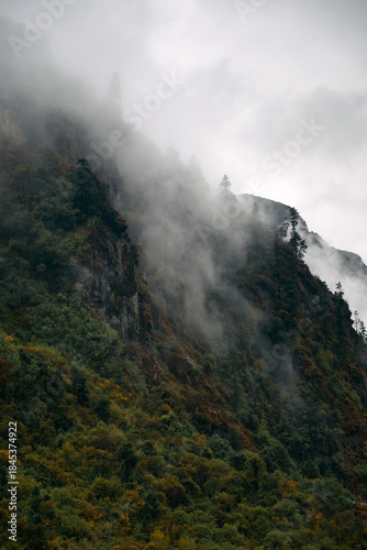 Fog hangs over the mountain slopes as greenery is visible below. The scene shows a cloudy sky and rocky cliffs surrounded by mist. Trees peek through the fog on the higher ground