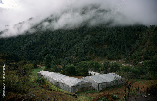 Greenhouses stand in a field surrounded by green trees and mountains. Clouds cover the top of the mountains. The scene shows a quiet farming area high in elevation