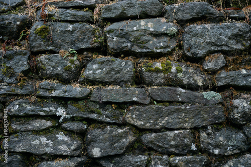 A stone wall stands in a wooded area. It is built from rough stones with patches of moss and lichen. Sunlight filters through the trees, lighting up the textures of the stones