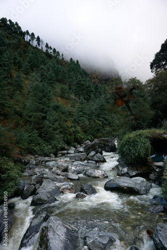 Water runs over stones in a river located in a mountain region. Trees line the riverbank while fog covers the higher areas. This scene shows nature's beauty during cloudy weather
