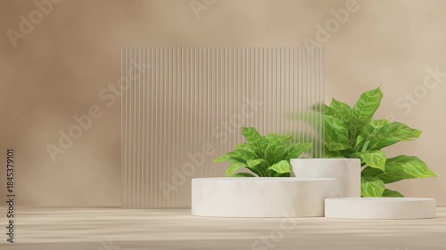 3d render footage blank space of white cylinder podium seamless loop shadow animation with chinese evergreen and glass wall
