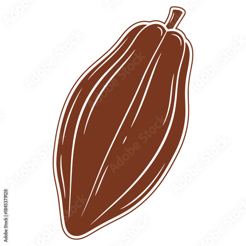 Illustrated cocoa pod vector graphic perfect for design and branding
