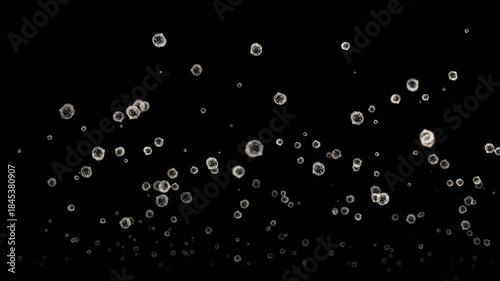 Floating micro dust particles animation on black background
