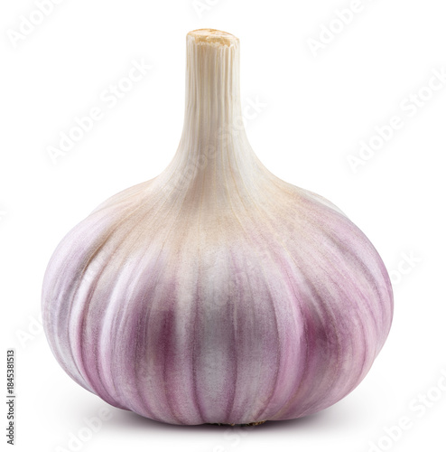 Fresh raw garlic heads isolated on transparent. Garlic heads with PNG