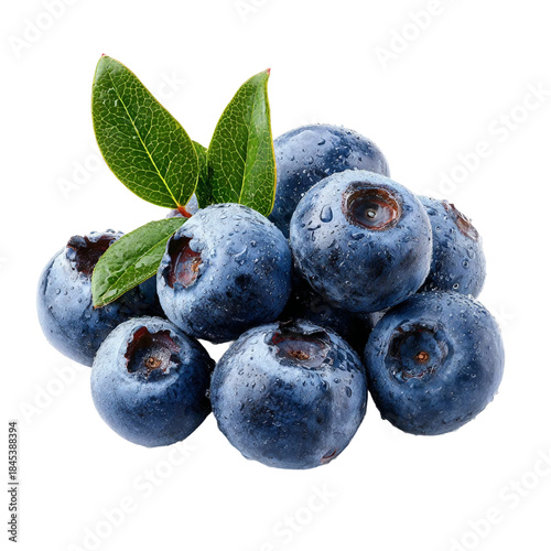 Photo of blue berry isolated on with white background(2)