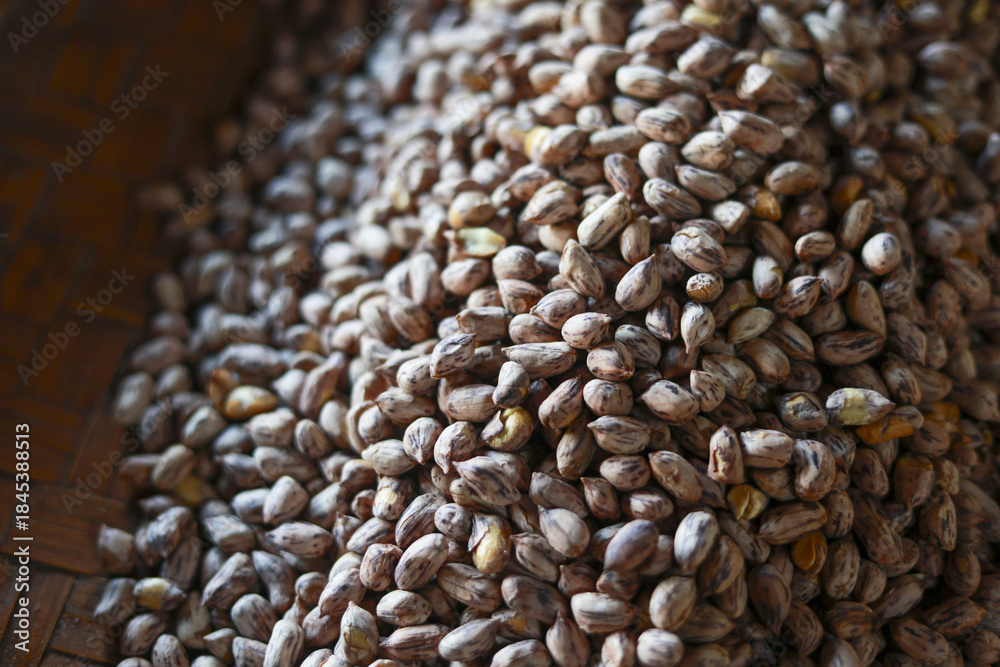 Obraz premium Close up view of an abundant pile of raw tiger striped peanuts. natural texture and pattern of legume shows wholesome and fresh ingredient for healthy eating