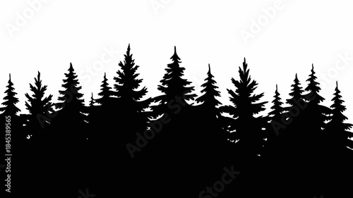 Silhouette of Evergreen Trees on White Background